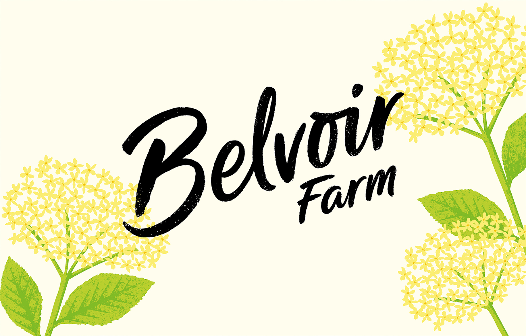Singapore Product News Belvoir Fruit Farms Rebranding