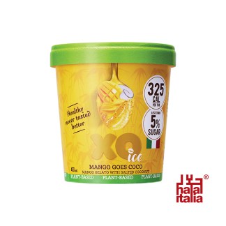 Mango goes Coco Ice Cream 473ml